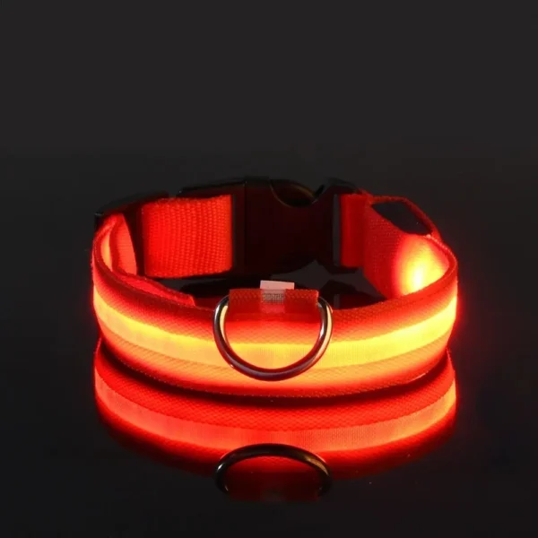 Sa756313898874586837976488a3e0669h.webp GlowPaw™ LED Safety Collar & Leash