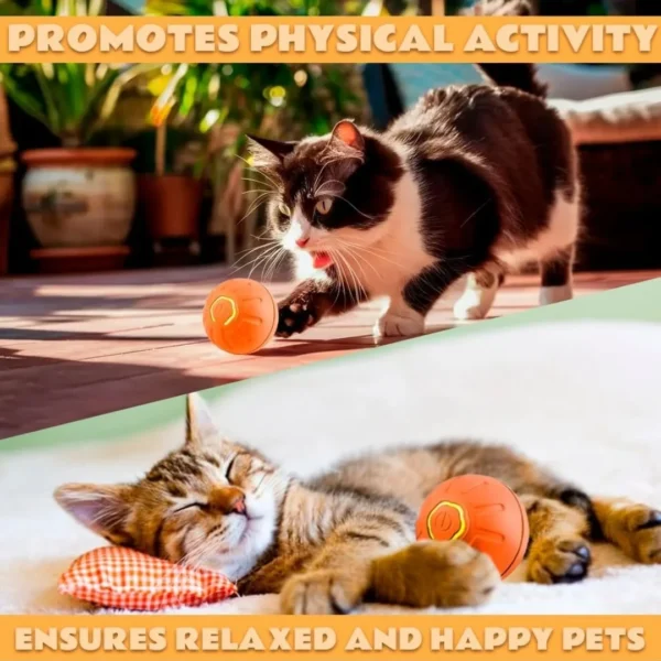 BounceSmart™ Gravity Electric Pet Ball