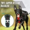 Saa0fc27df68b4366bca2fdb060f5e7f3l.webp StrongStride™ Front-Clip No-Pull Dog Harness