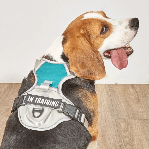 TrailGuard™ No-Pull Dog Harness