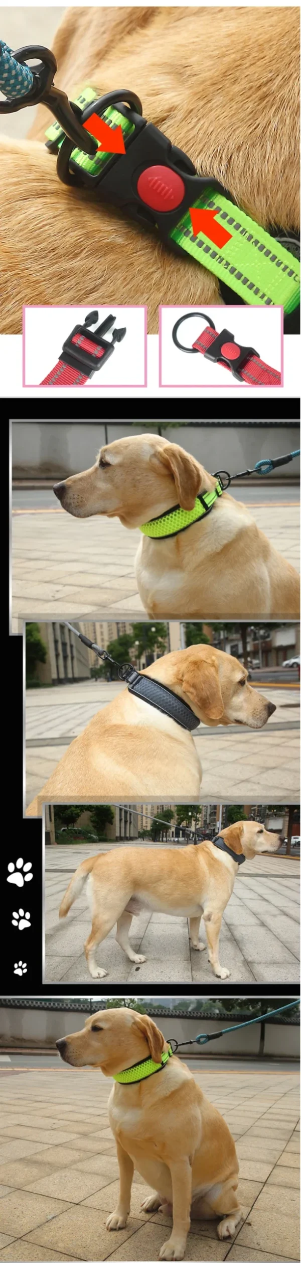 SafeStride™ Reflective Dog Collar