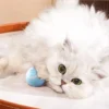 Sadc6c5fc468343a383086dcda1a4ddf6r.webp WhirlPaws™ Automatic Rolling Cat Ball