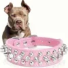 Sae467989d0b84c38a9f7b5cdbc3b7c77I-4.webp RivetGuard™ PU Leather Dog Collar