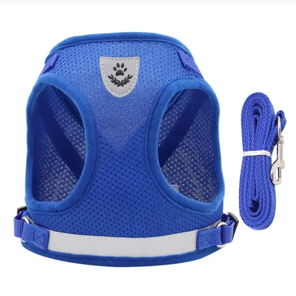 EscapeProof™ Cat & Small Dog Harness Set
