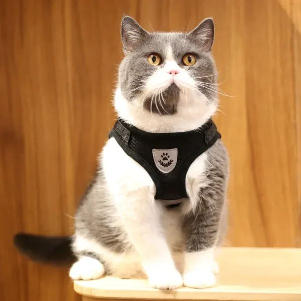 EscapeProof™ Cat & Small Dog Harness Set