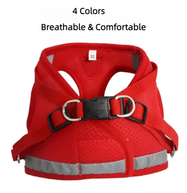 EscapeProof™ Cat & Small Dog Harness Set
