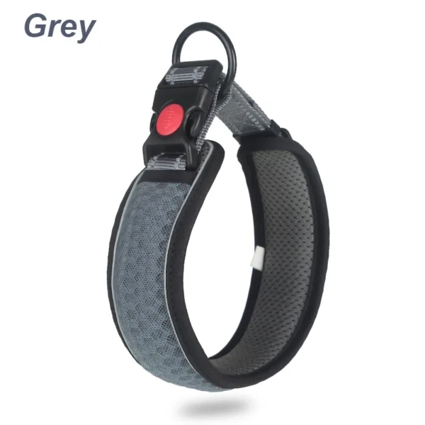 SafeStride™ Reflective Dog Collar