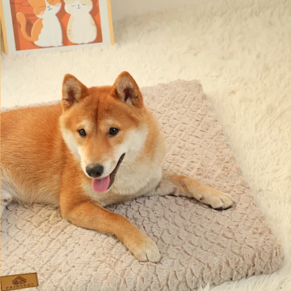 Sbdd5ea6bddee4f2c81d27b93d53c562cj.webp CozyCloud™ Orthopedic 3D Foam Pet Bed