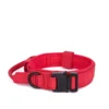 TactiPup™ Reflective Collar & Leash Set