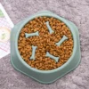 PaceBite™ Anti-Gulping Pet Bowl