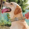 TactiPup™ Reflective Collar & Leash Set