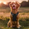 MaxControl™ No-Pull Reflective Dog Harness