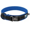 PawPrint™ Personalized Reflective Dog Collar