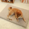 Scc06a66363a44324b19d6406b80e2a20C.webp CozyCloud™ Orthopedic 3D Foam Pet Bed