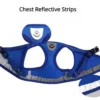 EscapeProof™ Cat & Small Dog Harness Set