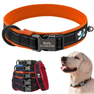 PawPrint™ Personalized Reflective Dog Collar