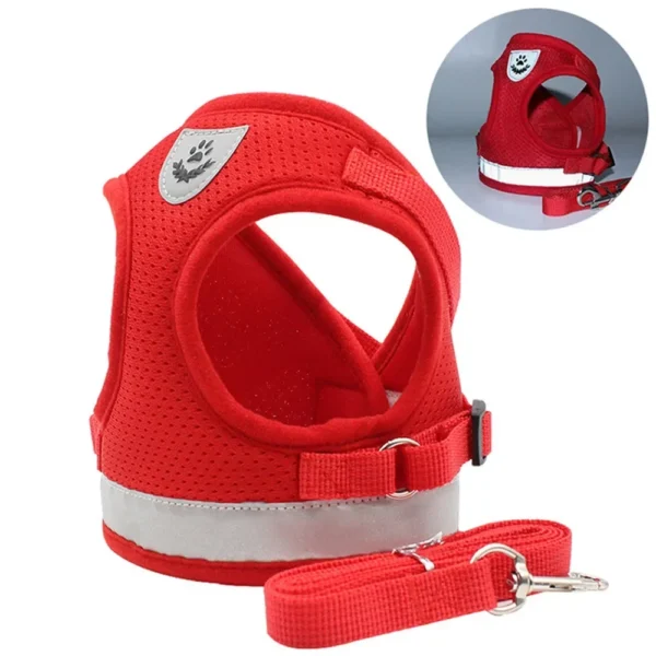 EscapeProof™ Cat & Small Dog Harness Set