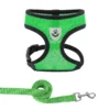 Sdb443a55fa5b4033ba928cf6c0978766C.webp BreezeFit™ Summer Pet Harness & Leash Set