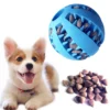 Sdb6810ff169c443790161a4e187d8c035.webp ChompPlay™ Treat Ball & Dental Toy