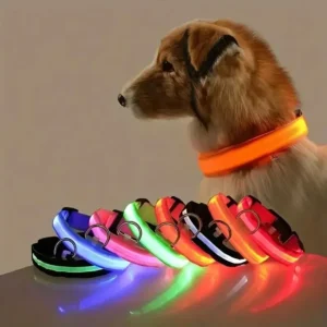 GlowPaw™ LED Safety Collar & Leash