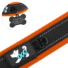 PawPrint™ Personalized Reflective Dog Collar