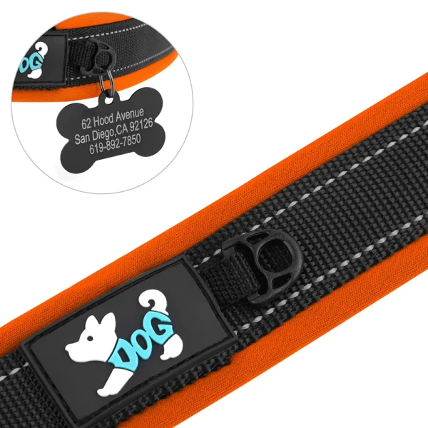 PawPrint™ Personalized Reflective Dog Collar