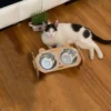 Wooden Elevated Dog Bowls with Stand Adjustable Raised Puppy Cat Food Water Bowls Holder Rabbit Feeder for Small Medium Pets