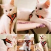 Seaed4a5a630a4e9287388904a37c2788U.webp BreezeFit™ Summer Pet Harness & Leash Set