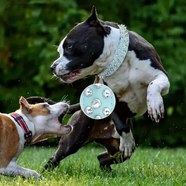 Sf2068cca7a0c44e5bd9bc8c91beaff19j-2.webp RivetGuard™ PU Leather Dog Collar