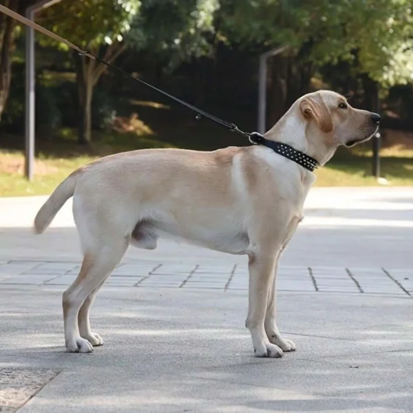 Sf42e998f57e349d7b353e9082d5f8687L-2.webp RivetGuard™ PU Leather Dog Collar