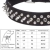 Sf782732574b742f6a03ce1f6b53f7926H-2.webp RivetGuard™ PU Leather Dog Collar