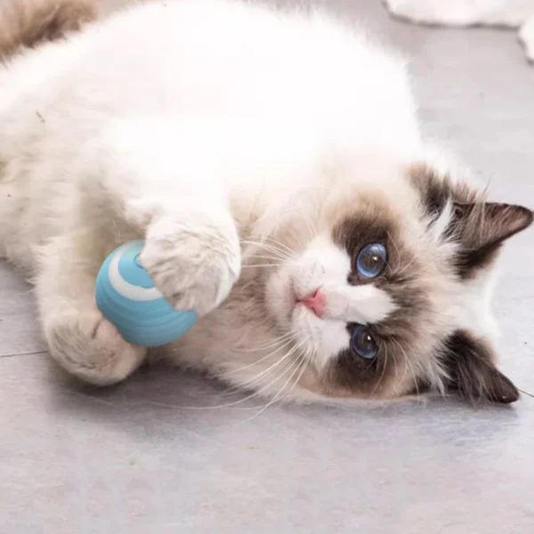 Sf865ba37b826447682cbc535fdd7ce57C.webp WhirlPaws™ Automatic Rolling Cat Ball
