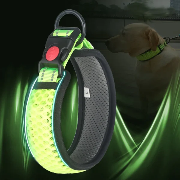 SafeStride™ Reflective Dog Collar
