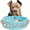 Sfd0cc547fc91468ba5ab94fa3cc7e8a1y-4.webp RivetGuard™ PU Leather Dog Collar