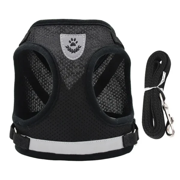 EscapeProof™ Cat & Small Dog Harness Set